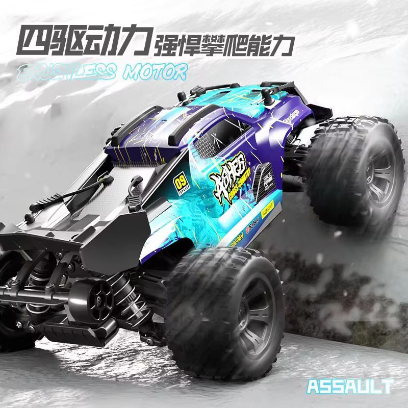 Volwassen Hobby‑Grade 1:18 4wd - Rc Hobby Grade Monster Truck recensie en prijs